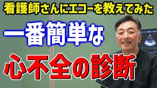 【看護師さんと学ぶエコー検査】一番簡単な心不全の診断：下大静脈と肺エコーで心不全を診よう！ 心不全のPOCUS，心エコー，肺エコー，下大静脈エコー [upl. by Enala665]