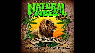 Natural Vibes Riddim Mix Full Feat Busy Signal Jah Cure Ginjah Lutan Fyah Pressure Feb 2024 [upl. by Htebasil181]