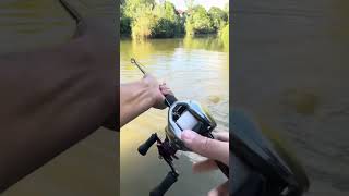 Une carpe sur un leurre de 23 cm  carpfishing fishing [upl. by Niwroc]