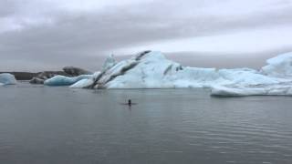 Swimming with icebergs in Jokulsarlon Glacier lagoon [upl. by Neeluqcaj]