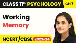 Working Memory  Human Memory  Class 11 Psychology Chapter 7 [upl. by Ile478]