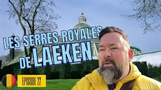 22  Belgique  Les Serres royales de LAEKEN [upl. by Sivra552]