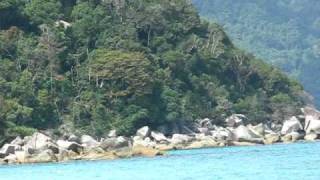 Perhentian Island Turtlebeach [upl. by Comstock58]