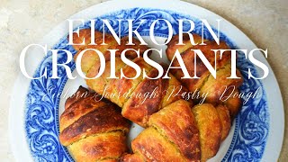 Einkorn Croissants  Sourdough Croissants  Ancient Grains Baking  Einkorn Flour Recipes [upl. by Euh607]