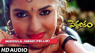 Peddarikam  Muddula Janaki Pelliki charitam song  Jagapathi Babu  Sukanya Telugu Old Songs [upl. by Anasor]