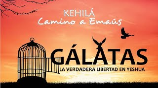 GÁLATAS 115  ¿Quienes eran realmente los gálatas  KEHILÁ [upl. by Ahsilad]