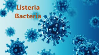 Educational Video Lets Learn about Listeria infectiousdisease disease bacteria [upl. by Iat732]