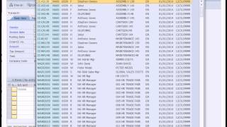 SAP Financial Accounting [upl. by Mozes]