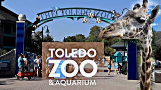 The Toledo Zoo [upl. by Norvall]