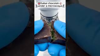 Dubai Chocolate Under The Microscope thistechnology facts microscope shoets shortsfeed viral [upl. by Carn]