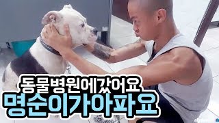 윽박명순이랑 동물병원에 갔어요 eugbak Animal Hospital [upl. by Akemehc180]