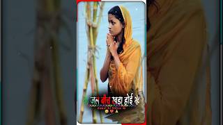 Status जोड़े जोड़े फलवा छठ गीत Chhath Puja TSeries Chhath Puja ke Pana Pawan Singh Jode Jode [upl. by Wettam64]