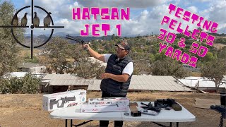 HATSAN JET 1 TESTING PELLETS AND REVICION EN ESPAÑOL [upl. by Nnairak452]