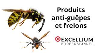 Produits antifrelons et antiguêpes Excellium Professionnel [upl. by Rind]