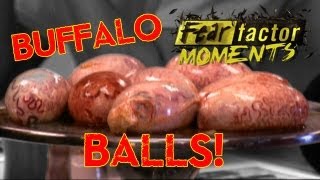 Fear Factor Moments  Buffalo Testicles [upl. by Orsini]