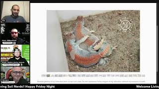 Ep 38  Bioactive Live QampA  Rearing Uromastyx and other Desert Arid Reptiles with aridsonly [upl. by Glynis]