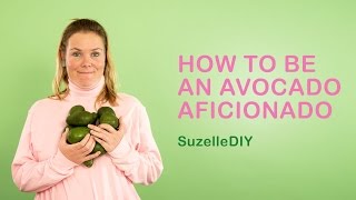 How to be an Avocado Aficionado [upl. by Akinihs]