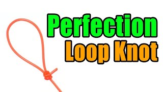 Perfection Loop Knot  Strong Easy Leader To Line Loop Knot  Best Fishing Knots [upl. by Lotte]