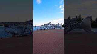 Steel Salmon Statue Called Kojamo In Tornio Finland tornio lapland fish statue [upl. by Ludovick]