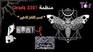 Cicada 3301 الشيفرة المفقودة كسر اخر لغز من الغاز المنظمة [upl. by Adair]