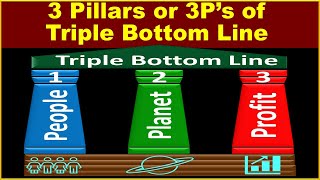 3 Pillars or 3P’s of Triple Bottom Line  Framework of Reporting Parameters of Triple Bottom Line [upl. by Adnuhsal]