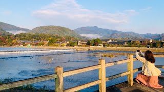 2024年11月22日金紅葉見頃の京都嵐山🍁 Arashiyama Kyoto at the best time to see autumn leaves [upl. by Yllaw]