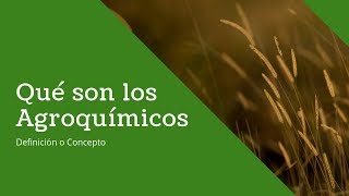 Qué son los Agroquímicos [upl. by Anailuy]