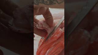 Cutting Out Cheek Meat of Alfonsino [upl. by Fenella]