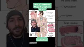 5 Minute Lymphatic Drainage Routine for your Immune System Health [upl. by Haila749]