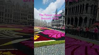 The flower carpet Brussels 2024 [upl. by Paapanen]