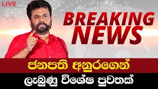 ජනපති අනුරගෙන් විශේෂ පුවතක්  News Today  Breaking News News Today Sinhala Sinhala News [upl. by Crellen]