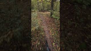 kleiner Hometrail auf YT decoy core 1 mx [upl. by Giralda]