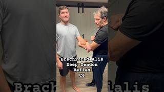 Brachioradialis Deep Tendon Reflex for C6 NRC physicaltherapy [upl. by Adiel950]