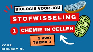 5 vwo  Stofwisseling  1  Chemie in de cellen [upl. by Irma]