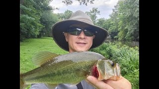 Fishing at a local pond in Scarsdale NY [upl. by Onairot]