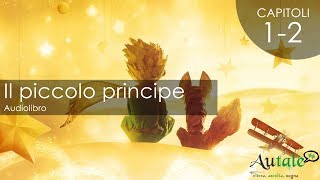 Il Piccolo Principe  Audiolibro Capitoli 1 2 [upl. by Brindle237]