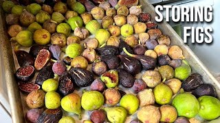 Storing Figs for Optimal Shelf Life Refrigerating Freezing amp Making Jam [upl. by Vivie]