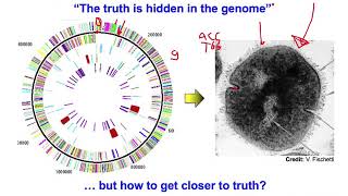 Micro24072020 Genomics Lecture 1 Video2 6 August 2020 [upl. by Georgeanna528]