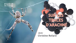 🕷️ Sur les traces dArachné [upl. by Tdnaltroc281]