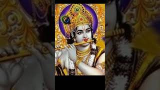 song love shorts Jay shree shyam ji [upl. by Atinaej176]