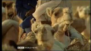 The Lost Libraries of Timbuktu 1 of 5  BBC Travel Documentary [upl. by Grefer]