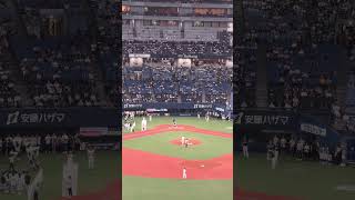 softbank hawks Orix Buffaloes [upl. by Ferriter204]