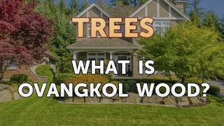 What Is Ovangkol Wood [upl. by Gal]