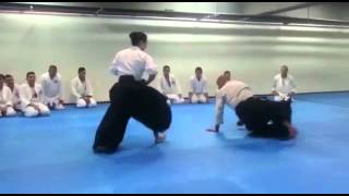 Leo sakanashi seminario de Aikido en Venezuela Aikikai 2015 [upl. by Anaujit]