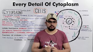 Cell Cytoplasm Composition Structure and Functions Of Cytoplasm Detailed Lecture [upl. by Sturges798]