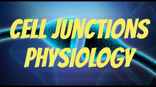 Cell junctions physiology simple detailed diagrams prepare for exams [upl. by Gibbie968]