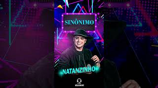 SINÔNIMO  NATANZINHO LIMA natanzinho natanzinholima sinônimos musica flyer sofrencia [upl. by Briney]