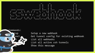 I Build My Own Webhook Tunnel Over SSH In Golang [upl. by Durno602]