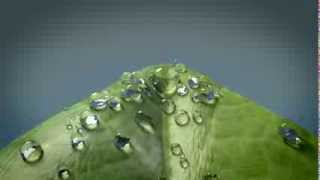 Blender 269  Dew on a leaf [upl. by Atarman]