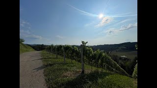 Einzigartige Landwirtschaft amp Weingärten in Alleinlage  Leutschach an der Weinstraße [upl. by Llenoj52]